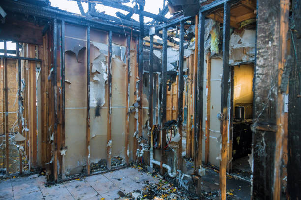 Professional Fire Damage Repair technician working in Maple Grove, MN