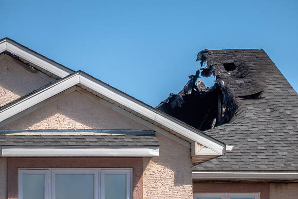 Top rated local Fire Damage Repair specialists in Maple Grove, MN